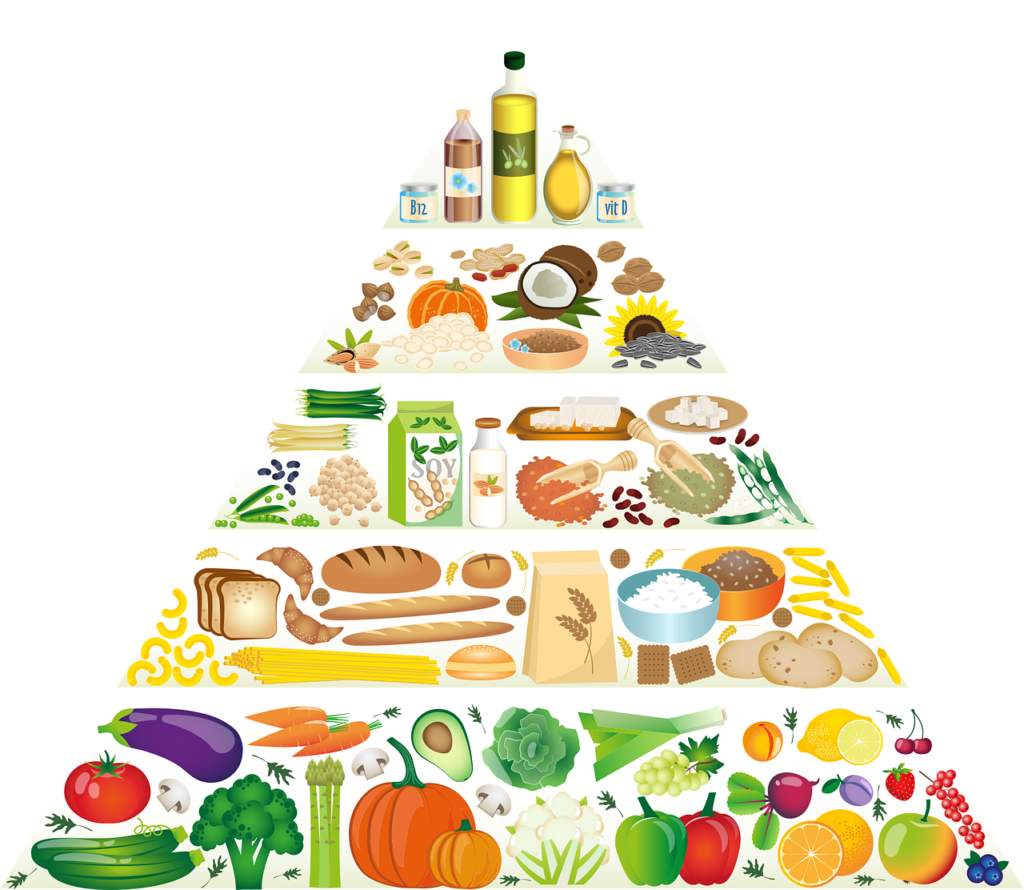 food pyramid 1