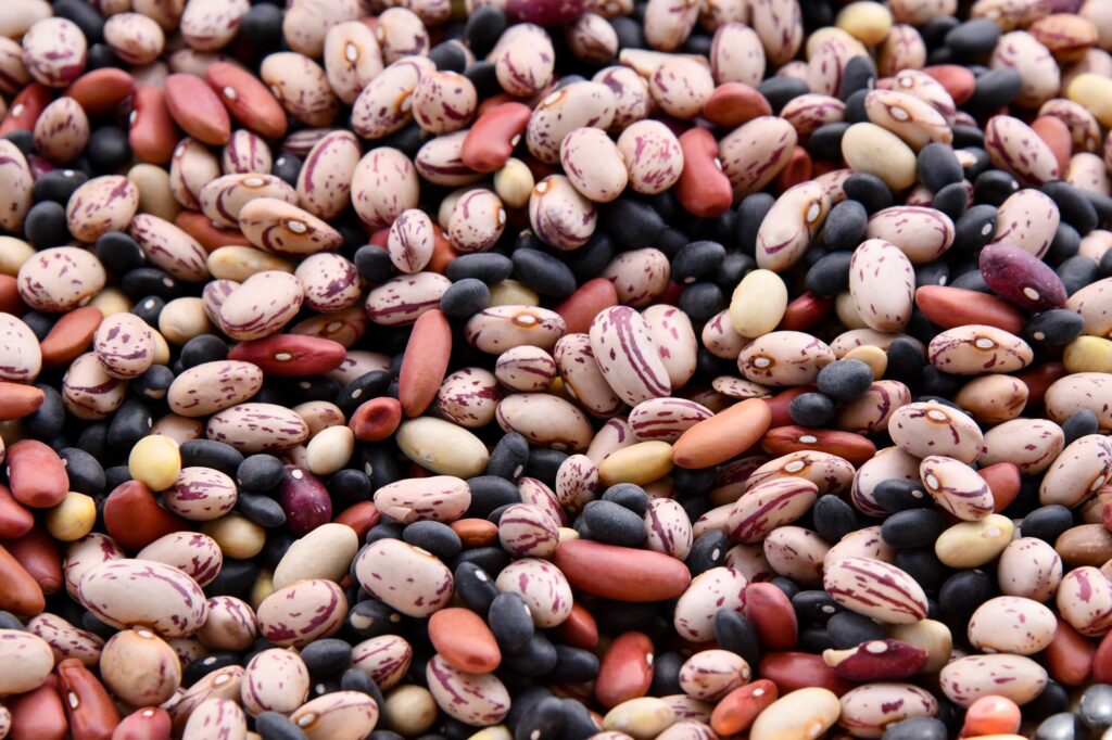 legumes - food that can be eaten on a plant based diet