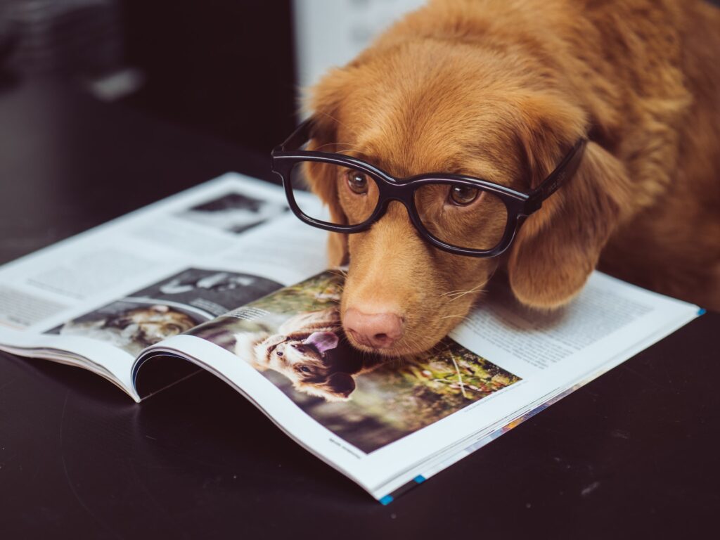 reading to pets